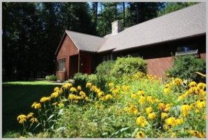 Photo of wooden building with yellow flowers growing outside
